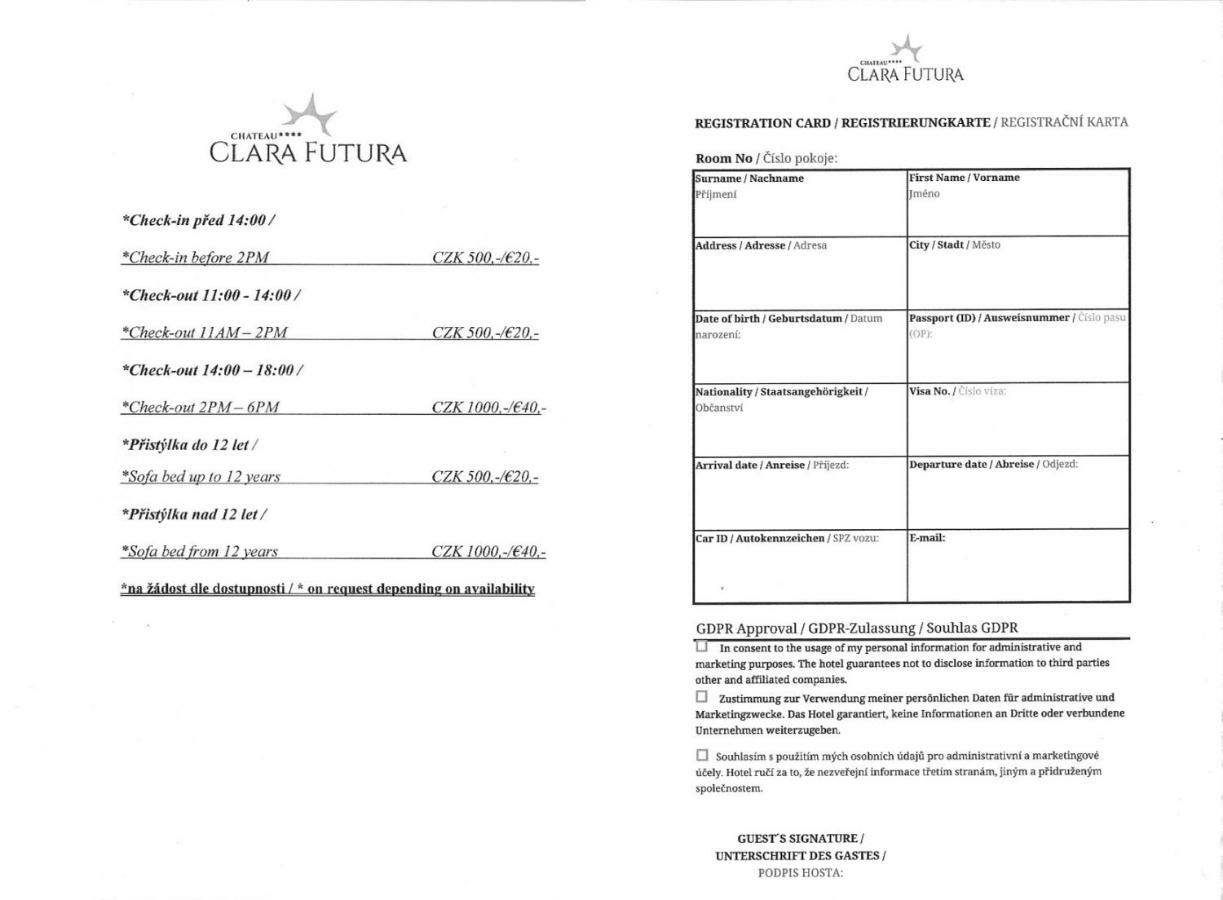 Chateau Clara Futura Dolni Brezany Luaran gambar